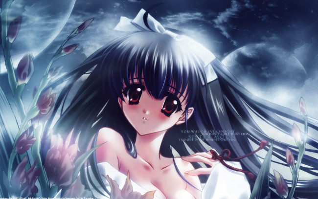 Обои картинки фото аниме, carnelian