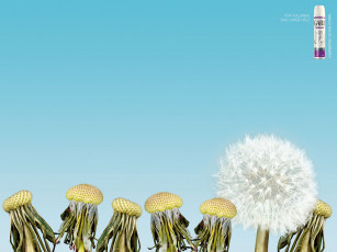 Картинка бренды другое