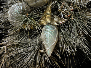 Картинка праздничные украшения