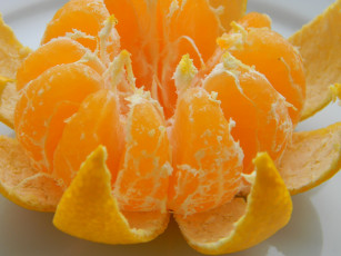 Картинка еда цитрусы