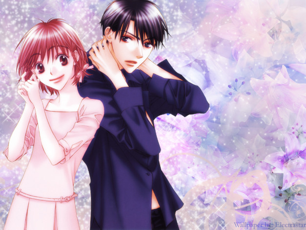 Обои картинки фото hanazakari, no, kimitachi, аниме, hanakimi
