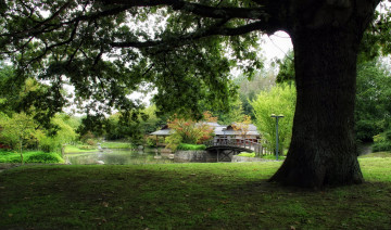 Картинка природа парк водоем мостик беседка деревья