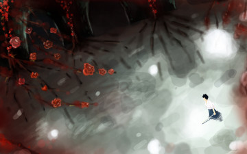 Картинка аниме katekyo hitman reborn озеро самурай