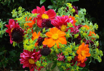 Картинка цветы георгины букет