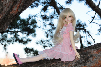 Картинка разное игрушки кукла