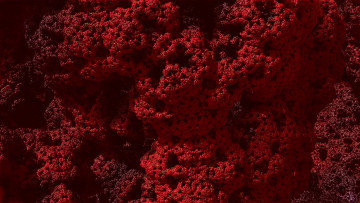 Картинка 3д графика fractal фракталы цвета узор фон линии изгибы