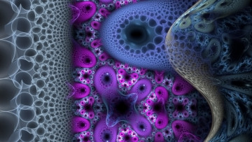 Картинка 3д графика fractal фракталы изгибы фон узор линии