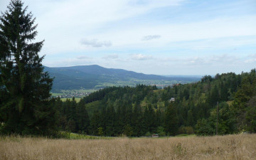 Картинка природа лес горы луг ели