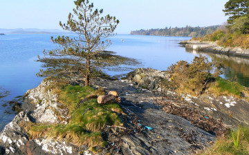 Картинка природа реки озера горы река деревья