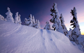 Картинка природа зима