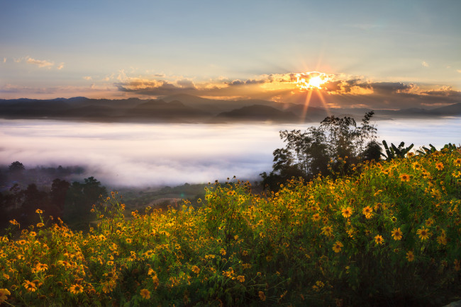 Обои картинки фото природа, восходы, закаты, цветы, закат, пейзаж, таиланд, thailand