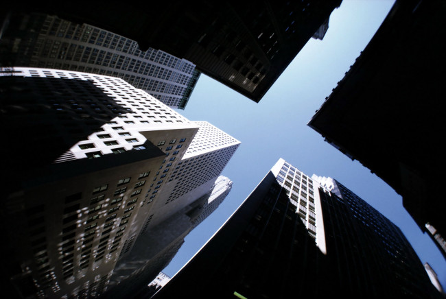 Обои картинки фото каменный, лес, города, здания, дома, небо, город, небоскребы