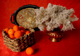 Картинка еда цитрусы мандарины натюрморт поднос