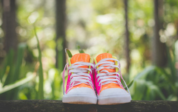 Картинка разное одежда +обувь +текстиль +экипировка шнурки бревно кеды