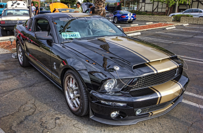 Обои картинки фото автомобили, выставки и уличные фото, выставка, автошоу