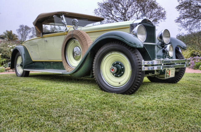 Обои картинки фото 1929 packard model 645 dietrich roadster, автомобили, выставки и уличные фото, выставка, автошоу