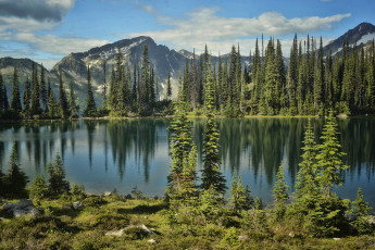 Картинка природа реки озера река лес горы