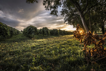 Картинка природа восходы закаты рассвет