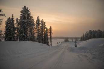 Картинка природа зима снег деревья