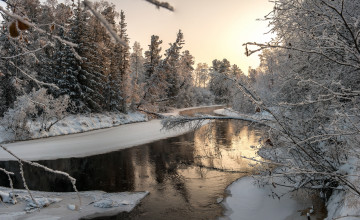 Картинка природа реки озера лес река