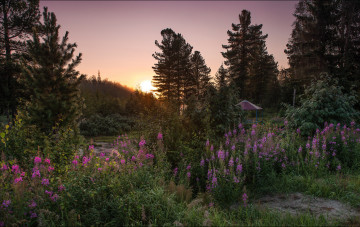 Картинка природа пейзажи рассвет