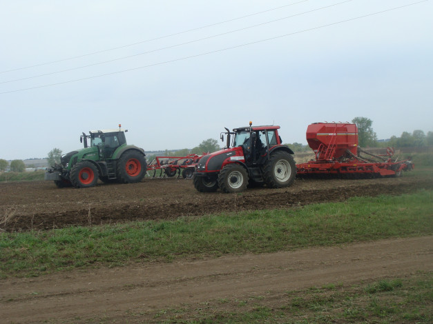 Обои картинки фото техника, тракторы, трактор