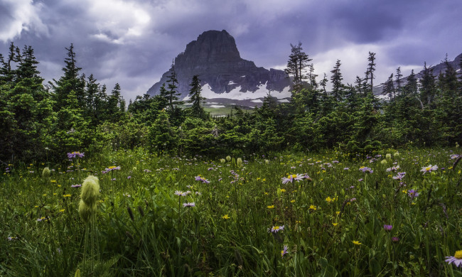 Обои картинки фото природа, луга, цветы, трава, горы