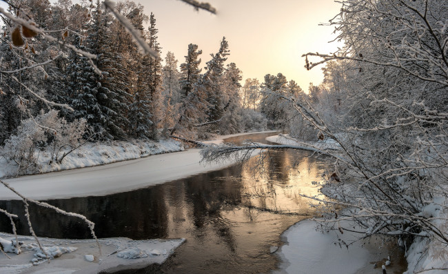 Обои картинки фото природа, реки, озера, лес, река