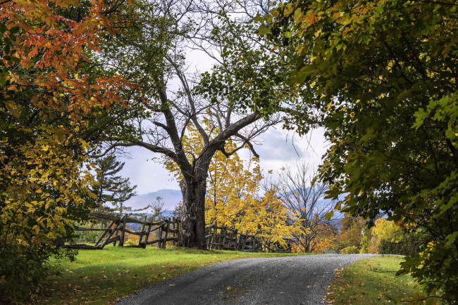 Обои картинки фото природа, дороги, шоссе, проселок