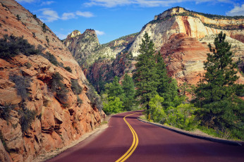 Картинка природа дороги пейзаж деревья дорога горы zion national park