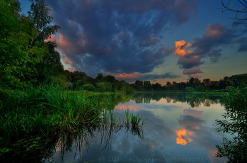 Картинка природа реки озера река лес