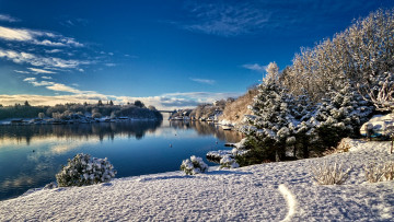 Картинка природа реки озера река лес