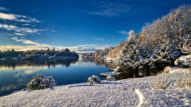 Обои картинки фото природа, реки, озера, река, лес