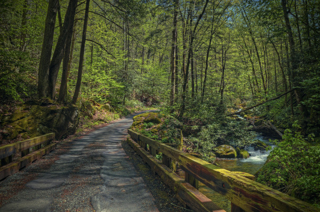 Обои картинки фото природа, дороги, деревья, дорога, речка, водопад, лес