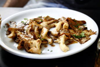 Картинка еда грибы +грибные+блюда грибное жаркое