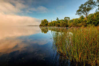 Картинка природа реки озера простор