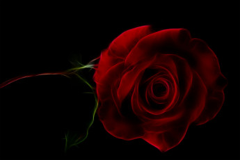 Картинка разное компьютерный+дизайн роза фон