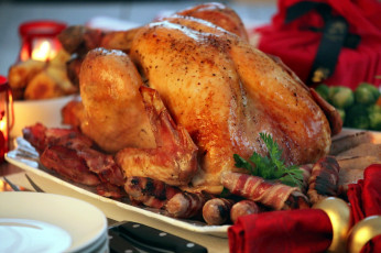 Картинка еда мясные+блюда индейка