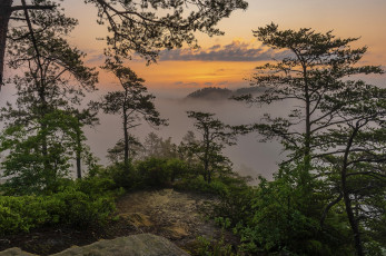 Картинка природа пейзажи простор