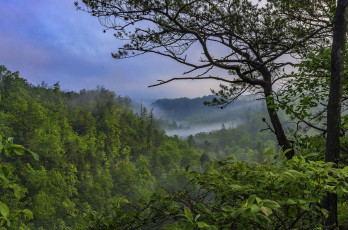 Картинка природа пейзажи простор