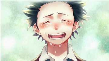 Картинка аниме koe+no+katachi форма голоса