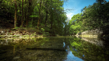 Картинка природа реки озера лес река