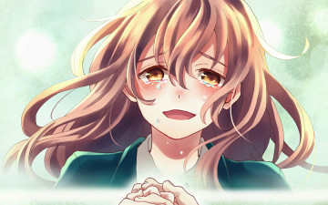 Картинка аниме koe+no+katachi форма голоса