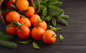 Картинка еда цитрусы мандарины