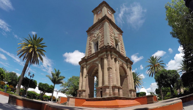 Обои картинки фото города, мехико , мексика, пальмы