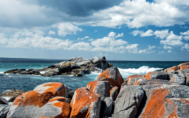 Обои картинки фото природа, побережье, камни