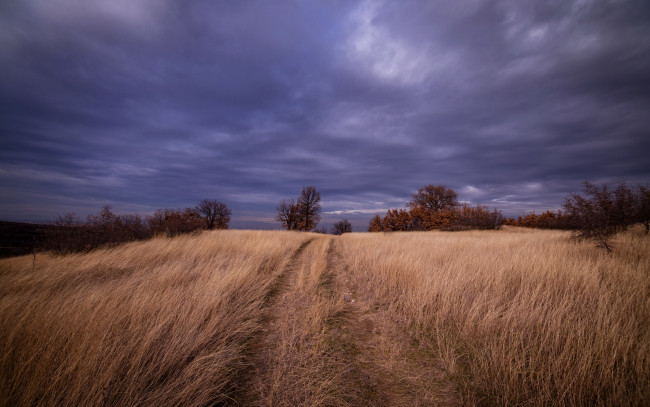 Обои картинки фото природа, поля, тучи, поле