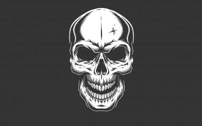 Обои картинки фото рисованное, минимализм, череп, фон