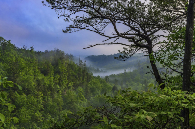 Обои картинки фото природа, пейзажи, простор