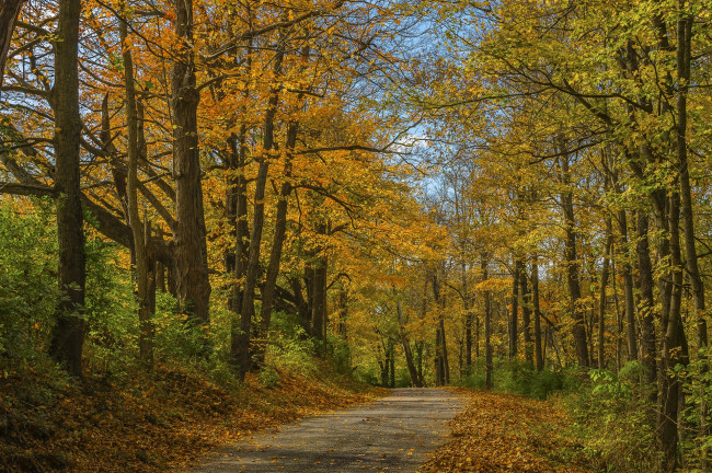 Обои картинки фото природа, дороги, простор